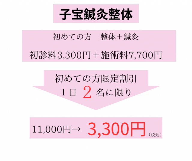 幸整骨院 不妊治療料金